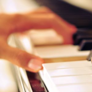 黄视频在线观看免费
