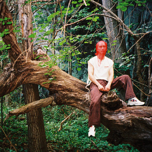 黄视频在线观看免费
