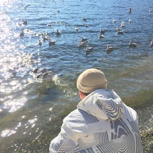 黄视频在线观看免费
