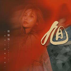 黄视频在线观看免费
